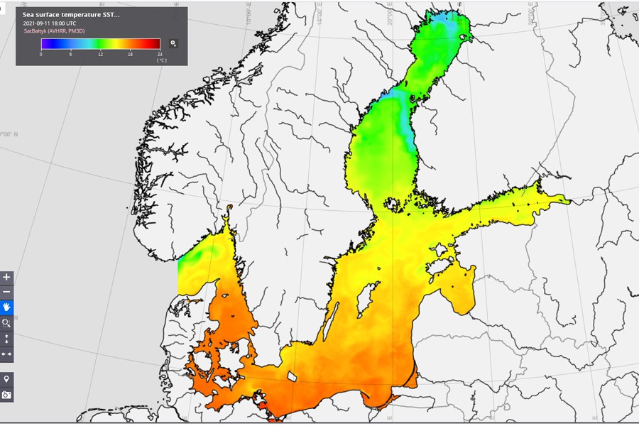 Strony www projektów naukowych 