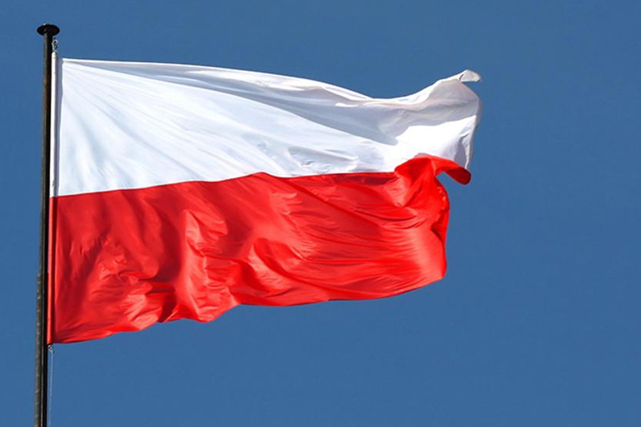 Udział w organizacjach krajowych