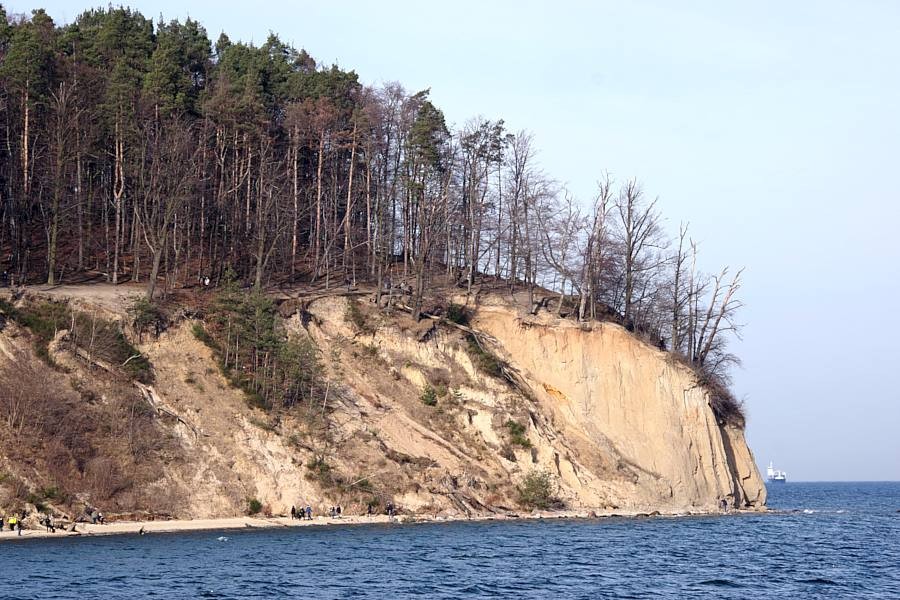 Wspólne stanowisko dyrektorów trzech instytutów naukowych badających morze