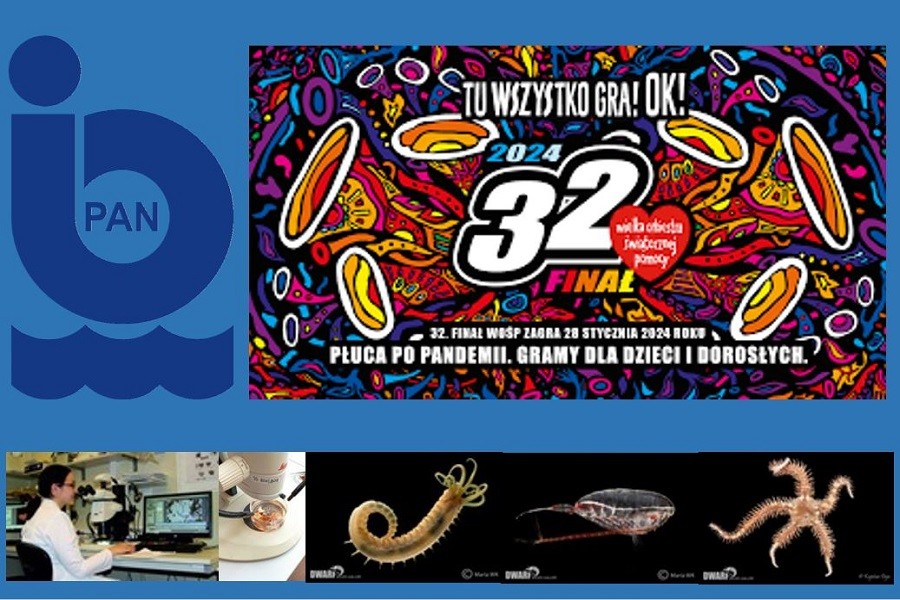 32. Finał Wielkiej Orkiestry Świątecznej Pomocy