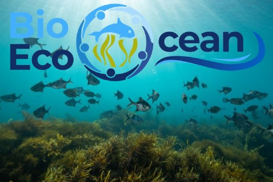 BioEcoOcean: Współtworzenie innowacyjnego planu dla zintegrowanej nauki o oceanie