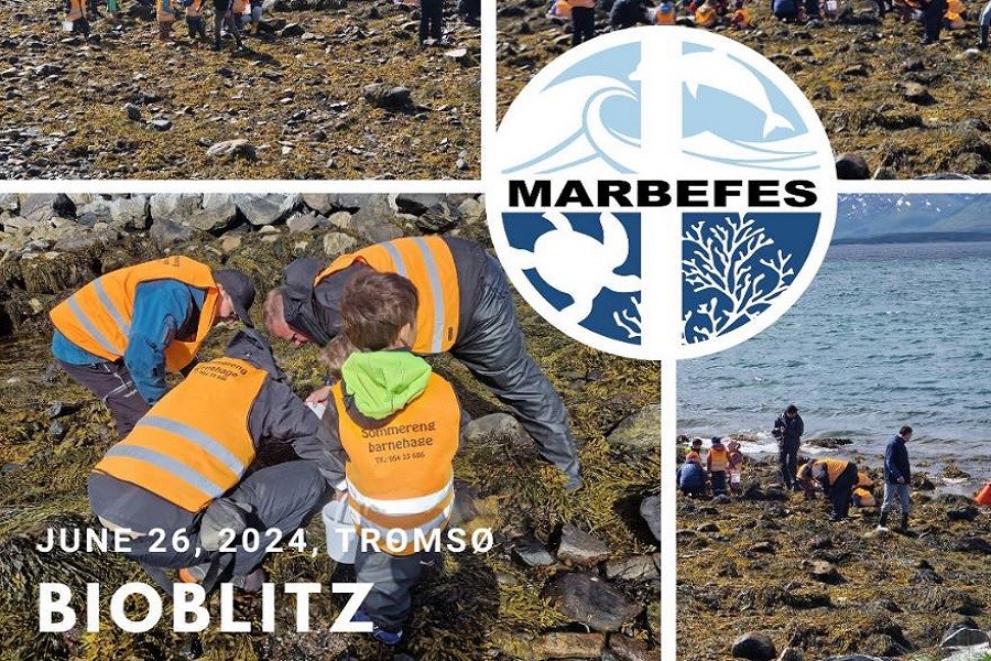 Bioblitz Tromsø: A Biodiversity Adventure!