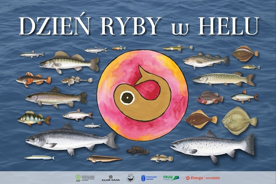 XX Dzień Ryby w Helu