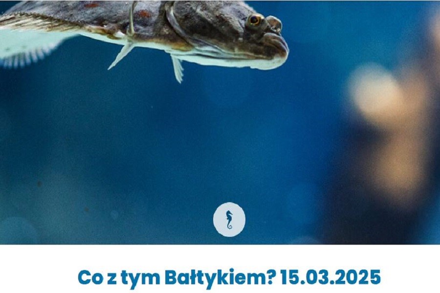 What about the Baltic Sea?