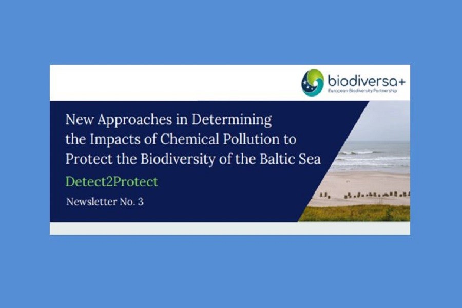 Detect2Protect – Newsletter No. 3