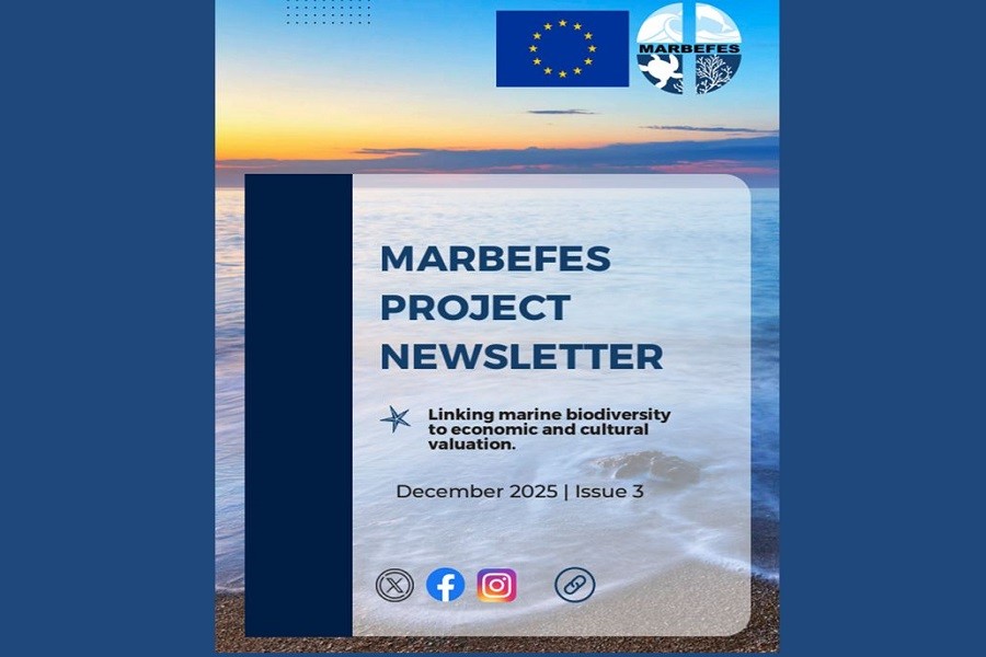 MARBEFES – Newsletter No. 3 