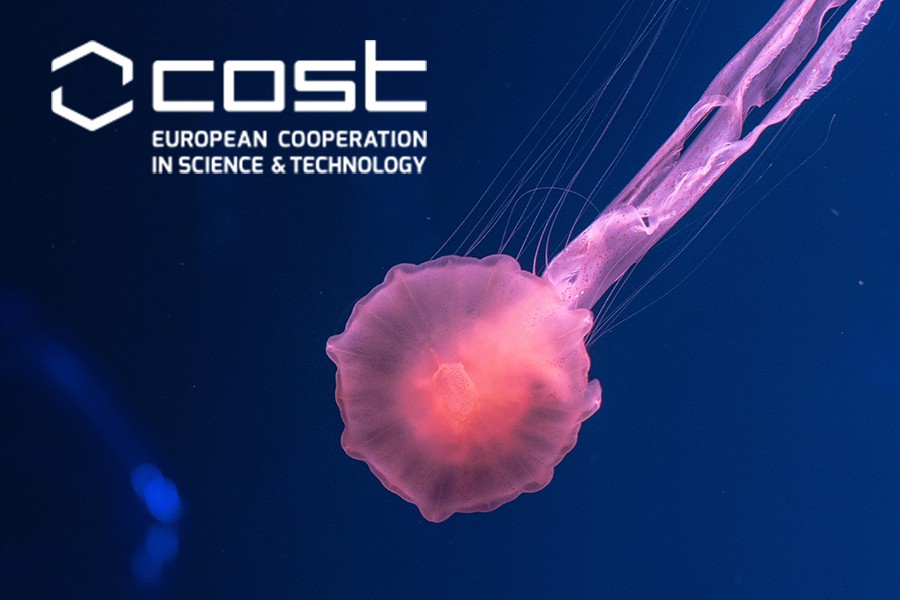 Konkurs dotyczący analiz omicznych