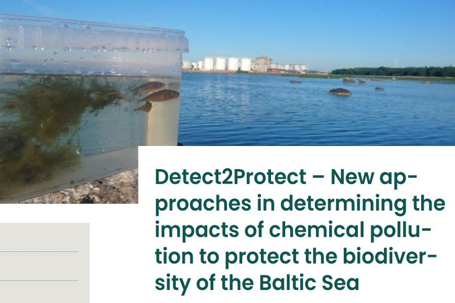 Międzynarodowe seminarium interesariuszy projektu Detect2Protect