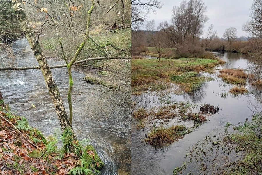 IO PAN partnerem projektu LIFE FOR RIVERS
